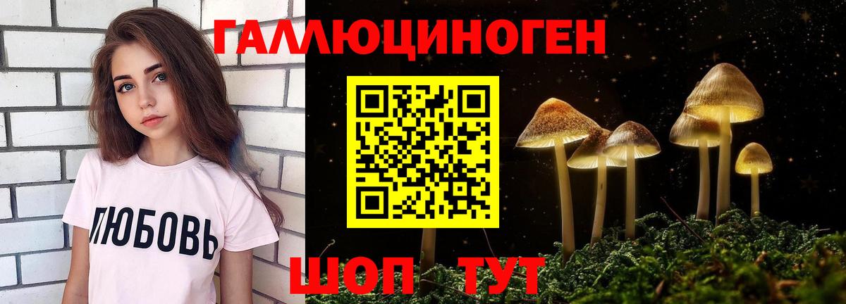 Богородицк  Галлюциногенные грибы GOLDEN TEACHER  Вход с VPN 