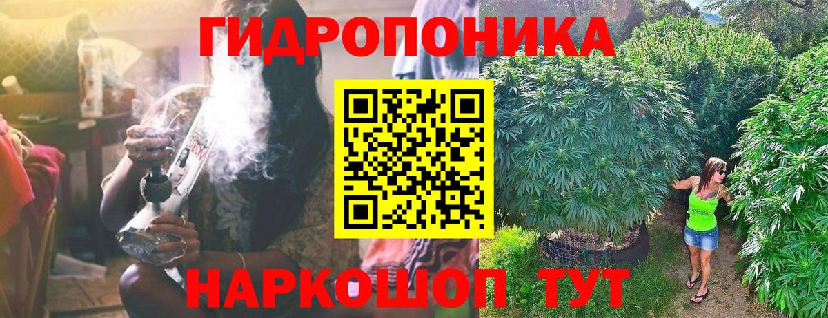 Шишки марихуана тримм  Бошки Шишки планчик  Вход с VPN  Каннабис OG Kush  Бошки Шишки сатива  Богородицк 